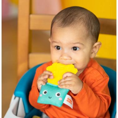 Bright Starts™ Side of Smiles™ Crinkle Teether