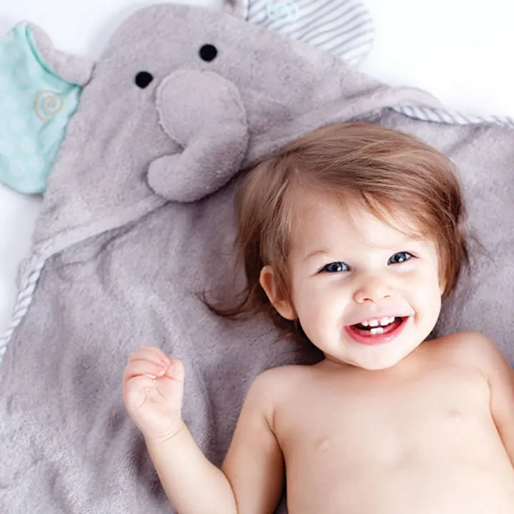 11209-Elephant-LS1-web_b8078165-5409-45b0-90c2-fe6ce9dfbeef(1).webp