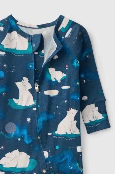 StargazingBearSleeper1.webp