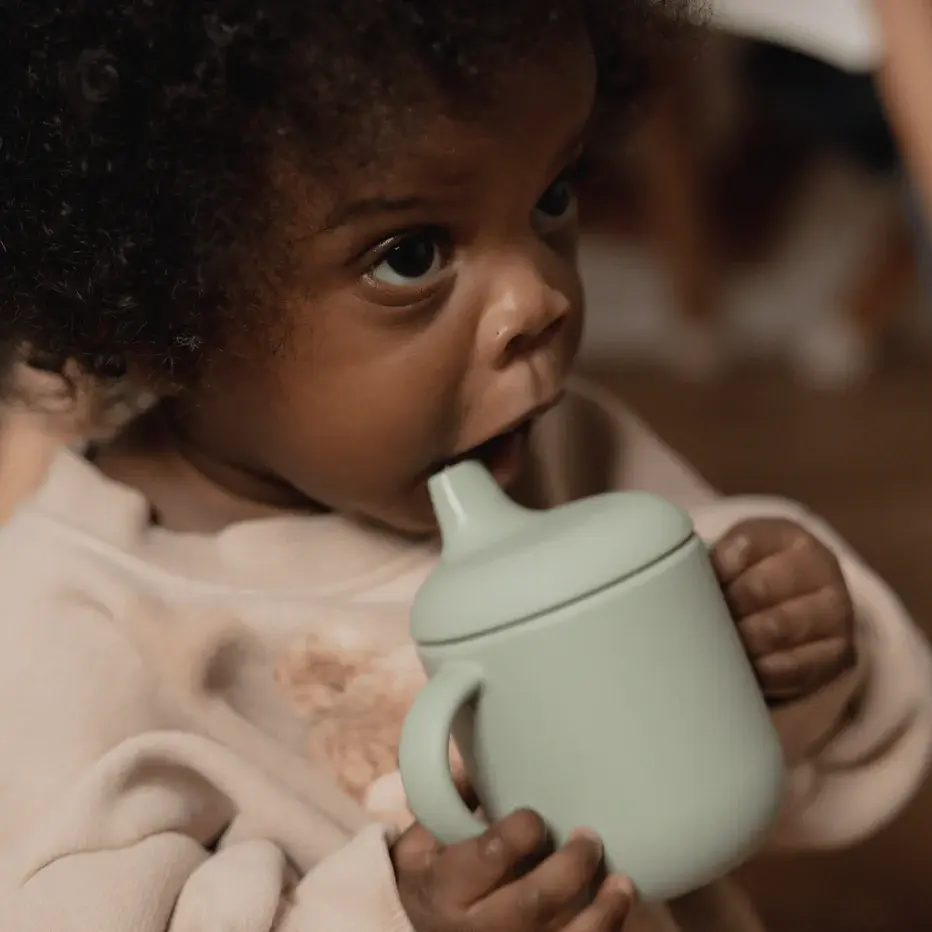 nouka-non-spill-sippy-cup-fern-min-of-2-pk-multiples-of-2-pk-2979503.webp