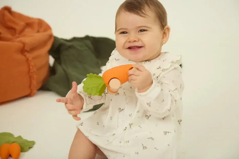 oli-carol-cathy-the-carrot-baby-car-toy-min-of-2-pk-multiples-of-2-pk-2292368.webp