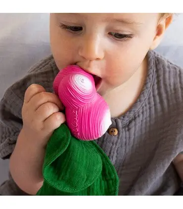 oli-carol-mini-doudou-teether-ramona-the-radish-min-of-2-pk-multiples-of-2-pk-7403234.webp