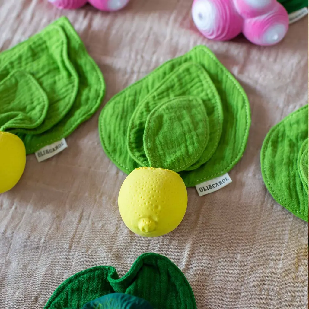 lemon4_0c9c455f-ab61-4851-9d4e-c4fe26705fe1.webp