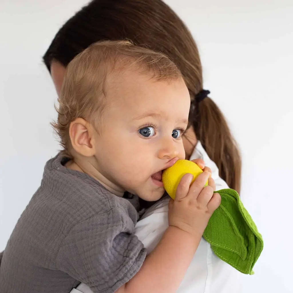 lemon1_fe7bda6d-f527-460e-beb0-dbe8499bf943.webp