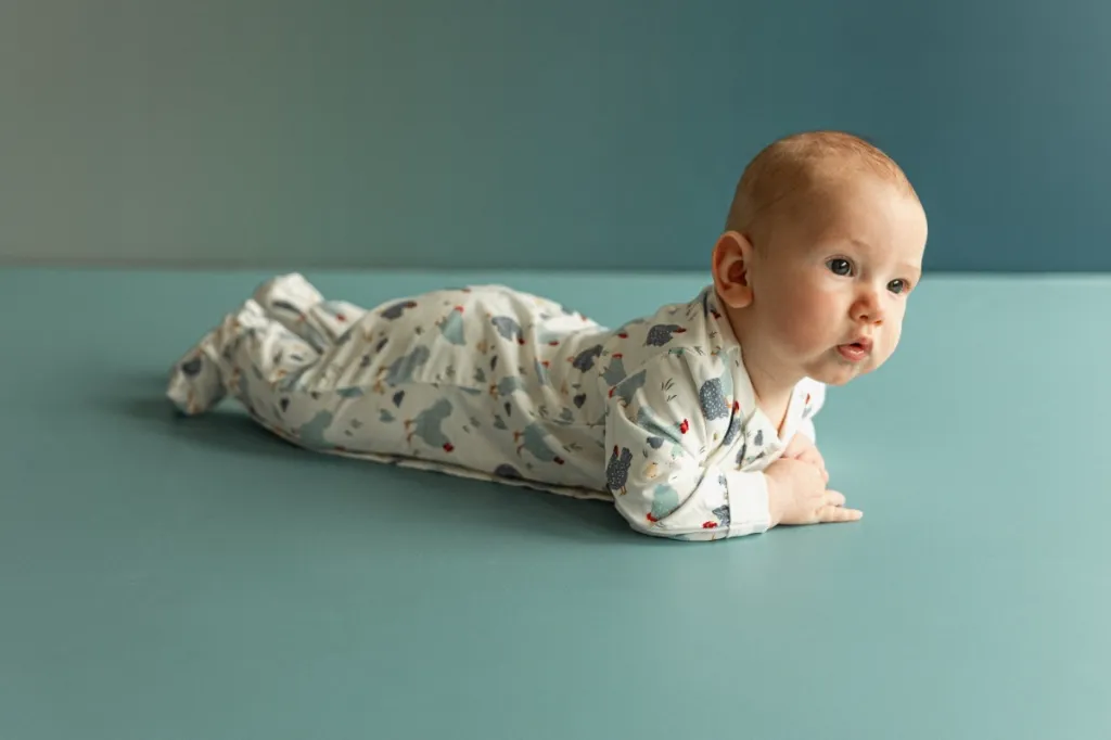 PZM6041-201-option_2__22577.webp