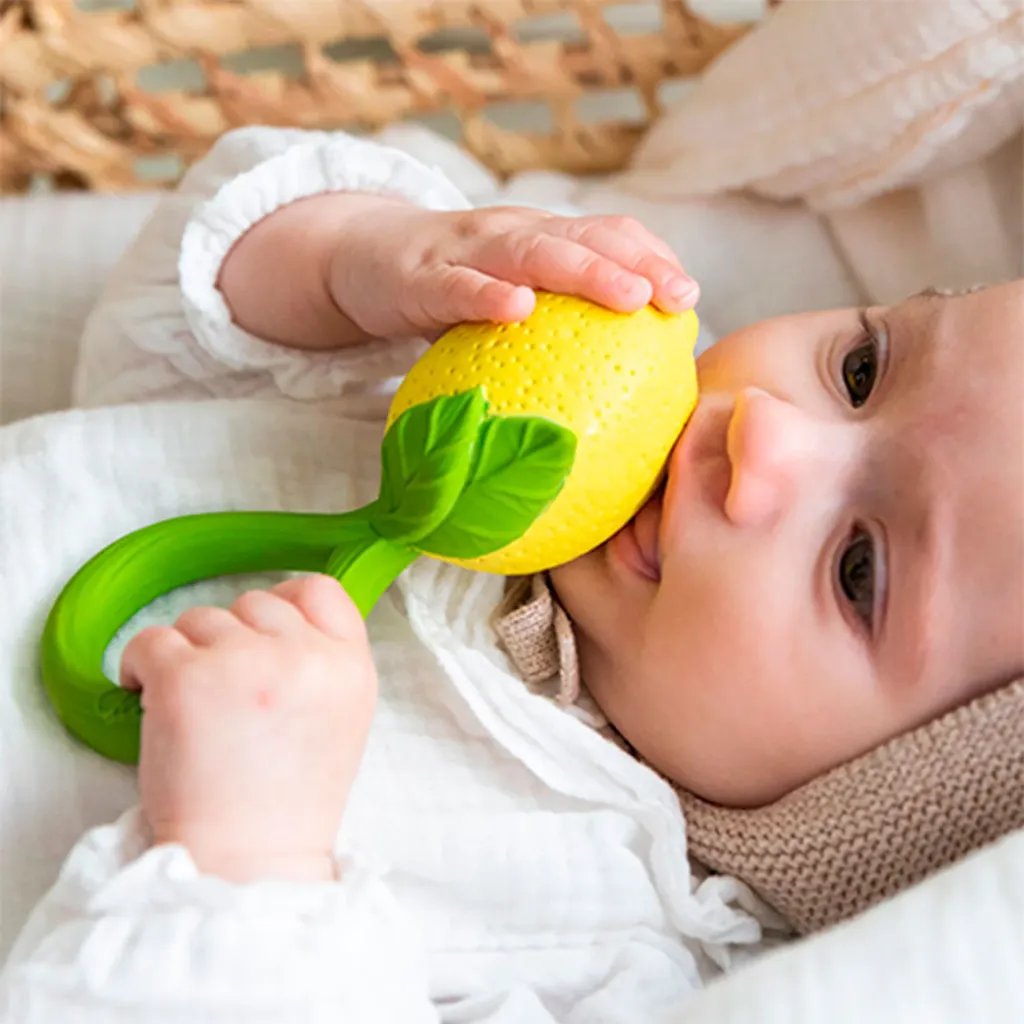lemon1_2a0e4651-a86e-4113-9a72-558b6d9056b6.webp