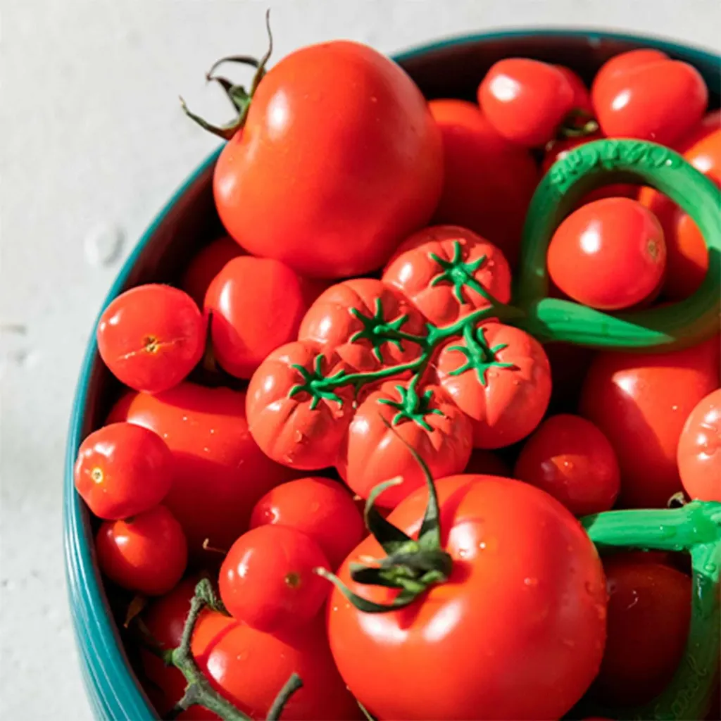 tomato4_936d26e8-0dfb-4a7c-880a-fb45daaa4d67.webp