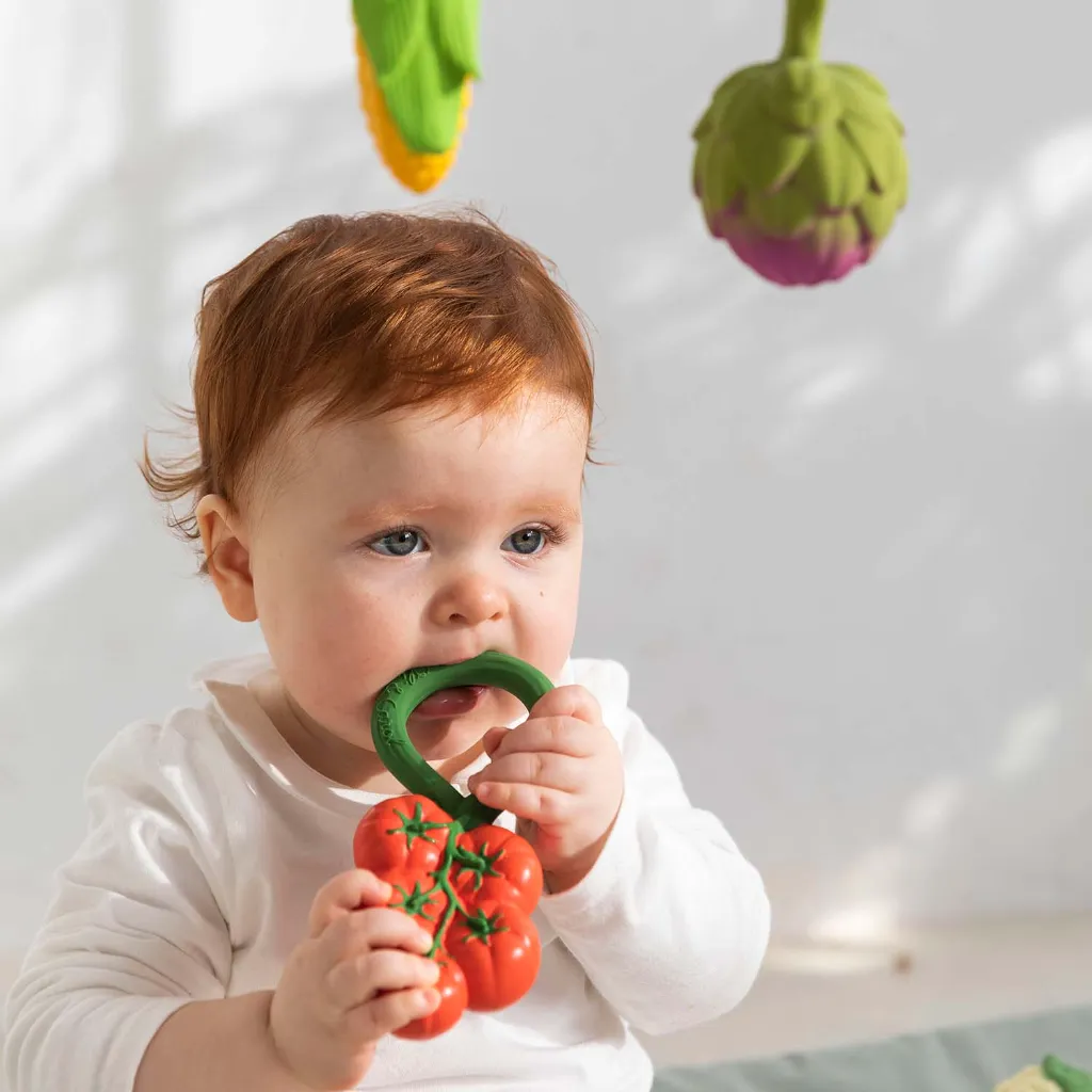 tomato1_eb5872aa-56a4-484a-a963-b0bf6290868c.webp