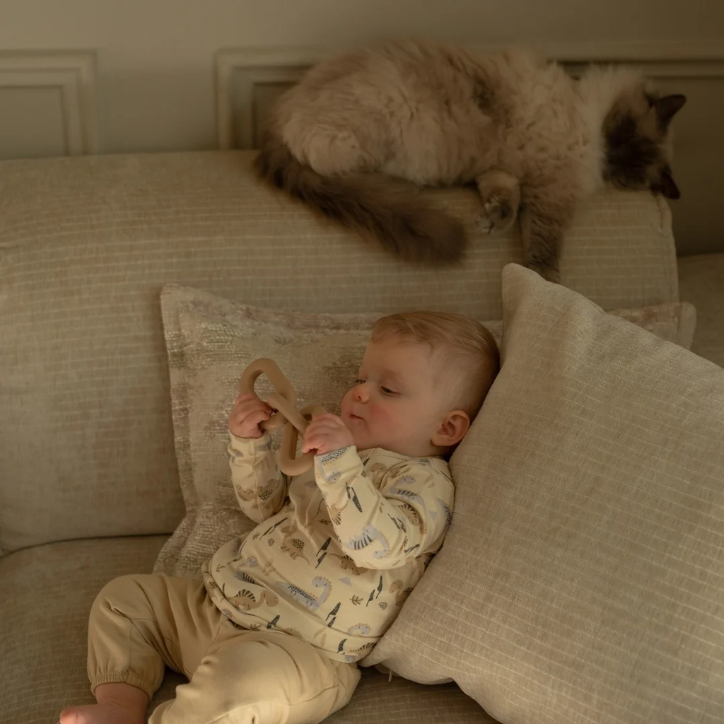 image (21).webp