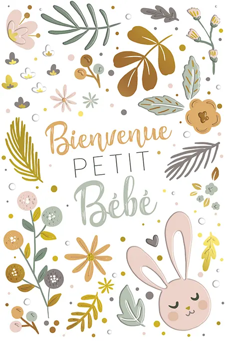 Incognito Greeting Cards Baby Shower French EDI-2455B - Girl