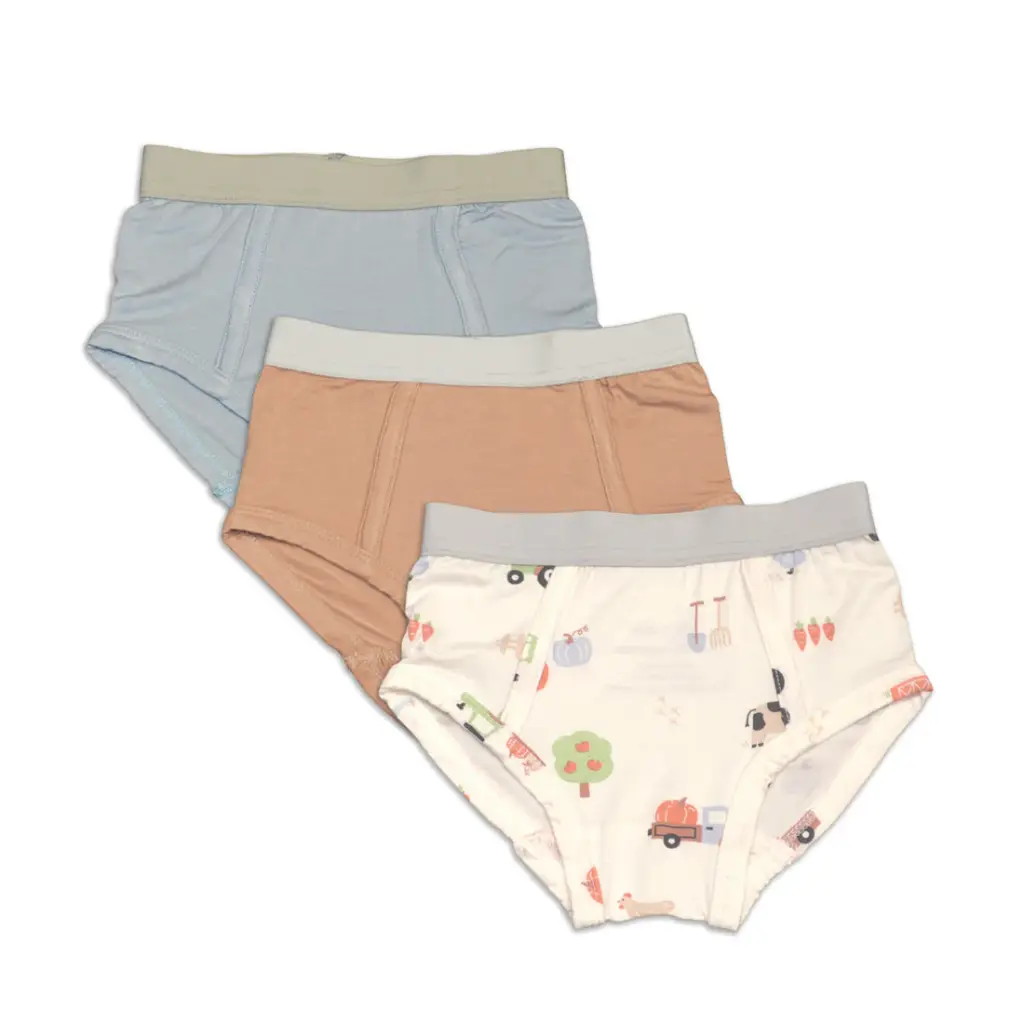 Silkberry Baby Underwear WF4612 Bamboo Boys Briefs 3 Pack(Magic Cloud/Toast/Pumpkin Farm Print) (2Y)